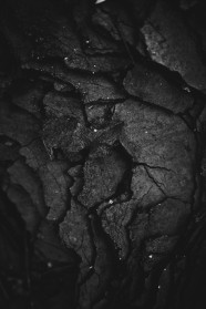 Carbon1.jpg