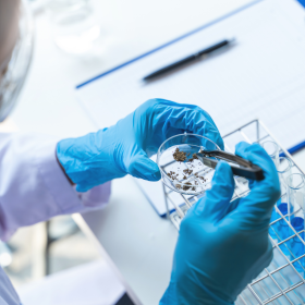 LifeSciences1.png