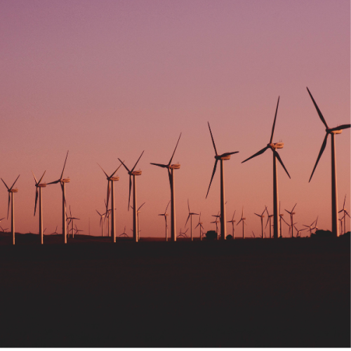 Explore the future opportunities of renewable energy.png